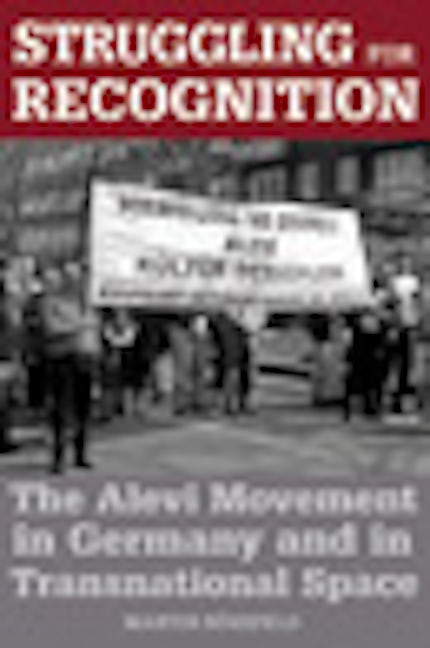 Book cover image for Struggling for Recognition ISBN: 9781845454784
